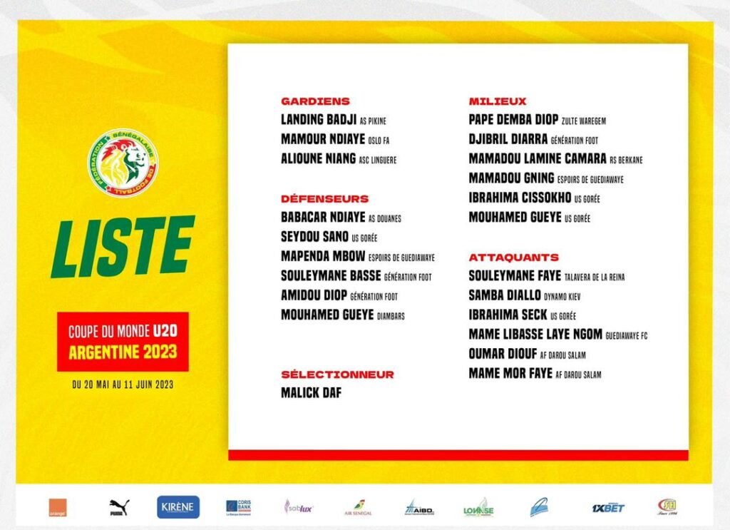 Liste des Lions pour le mondial