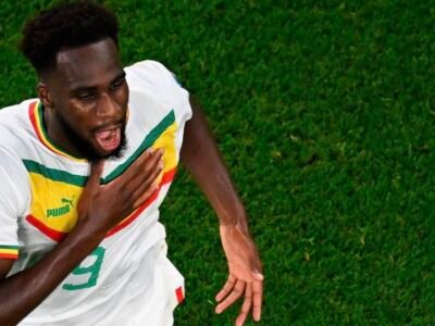 Boulaye Dia buteur des Lions