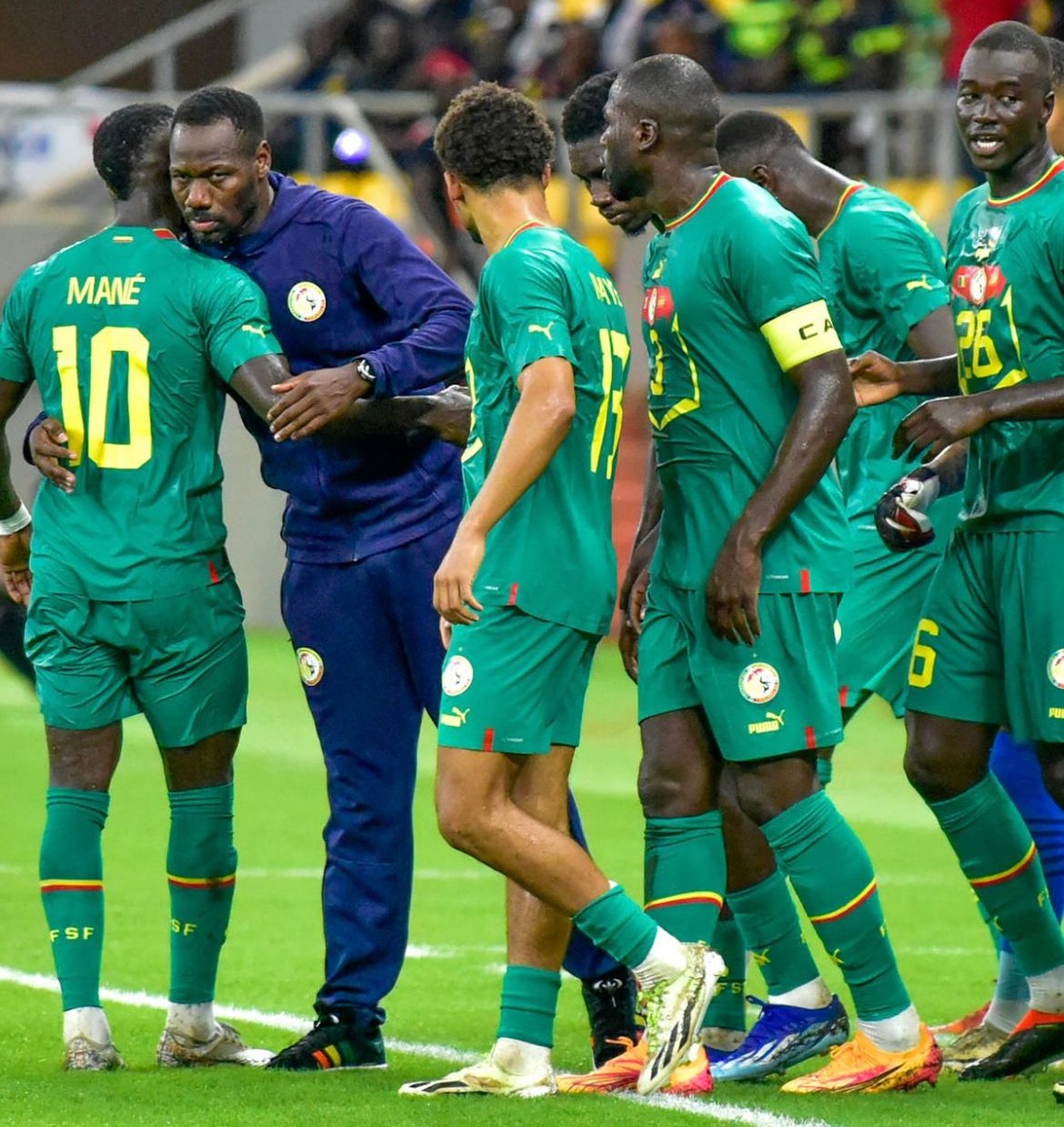 Pape Thiaw et ses Lions