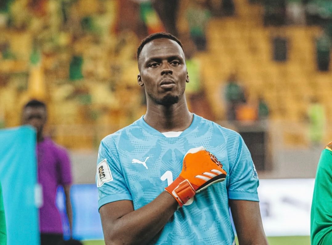 Édouard Mendy, le saveur des Lions !