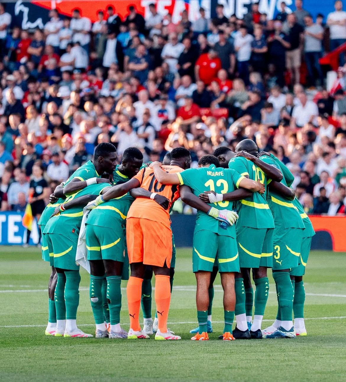 les Lions du Sénégal