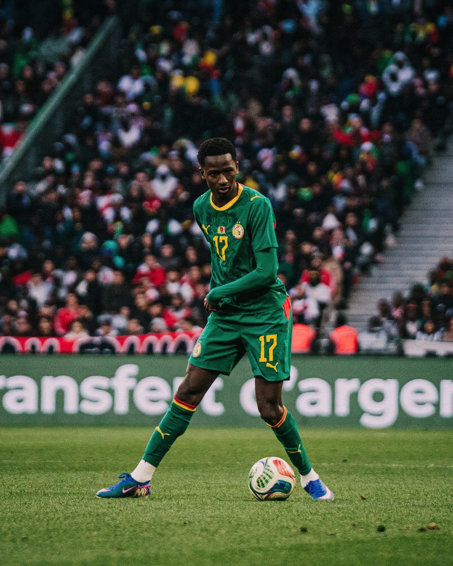 Pape Matar Sarr, la déchéance ! 