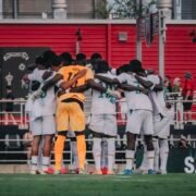 Pas de victoire en deux matchs de préparation des Lions en direction de la coupe du monde.
