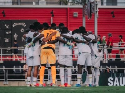 Pas de victoire en deux matchs de préparation des Lions en direction de la coupe du monde.