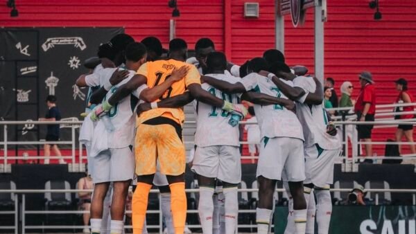 Pas de victoire en deux matchs de préparation des Lions en direction de la coupe du monde.