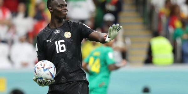 La brusque retraite internationale de Édouard Mendy interroge.
