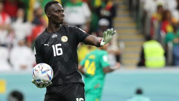 La brusque retraite internationale de Édouard Mendy interroge.